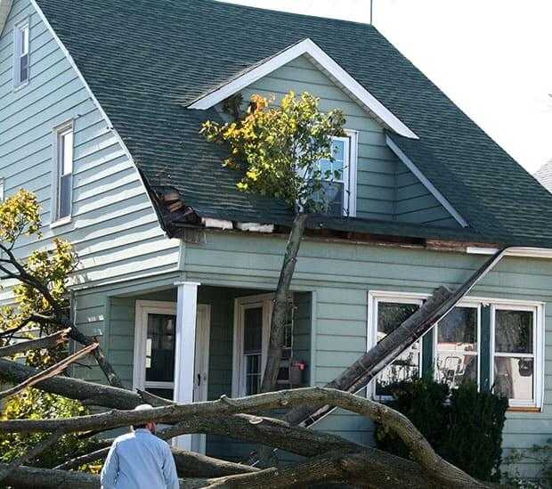 Our Service Offerings in Georgetown, CO