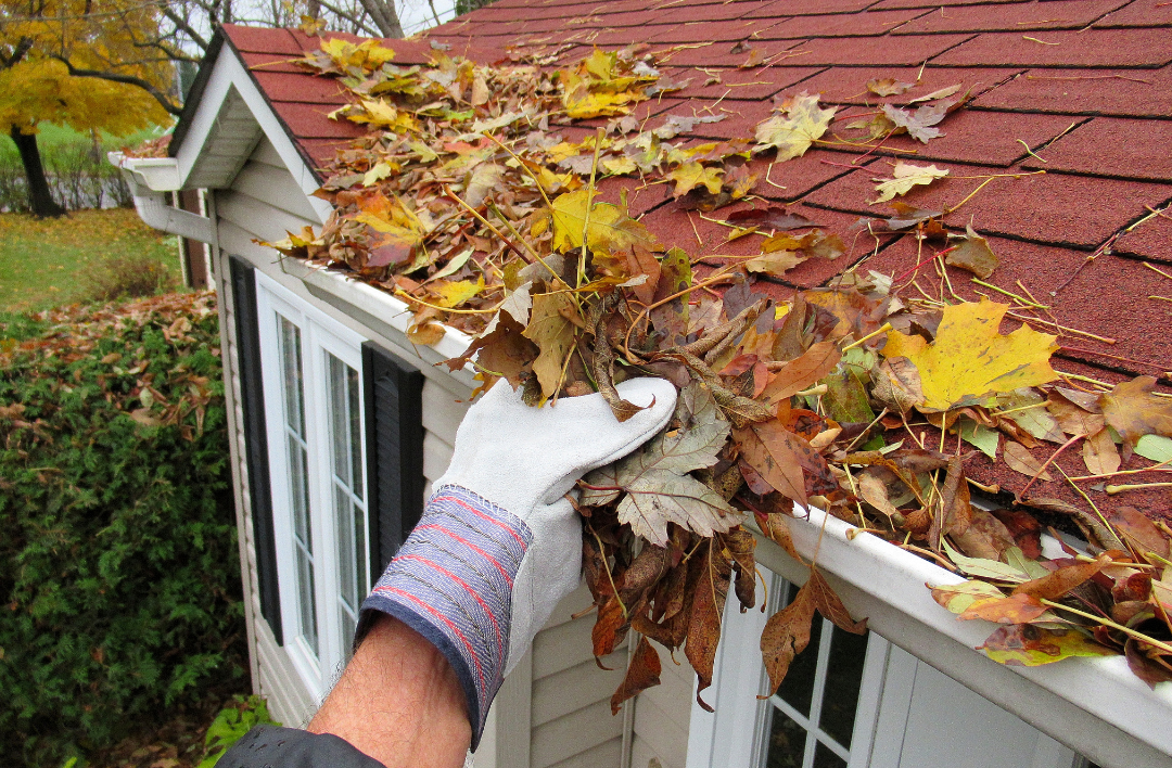Roof Maintenance Services Erie CO