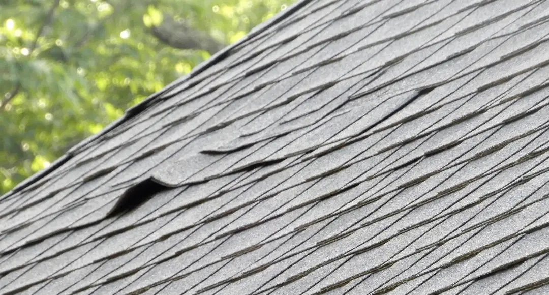 Roof Maintenance Services Denver CO