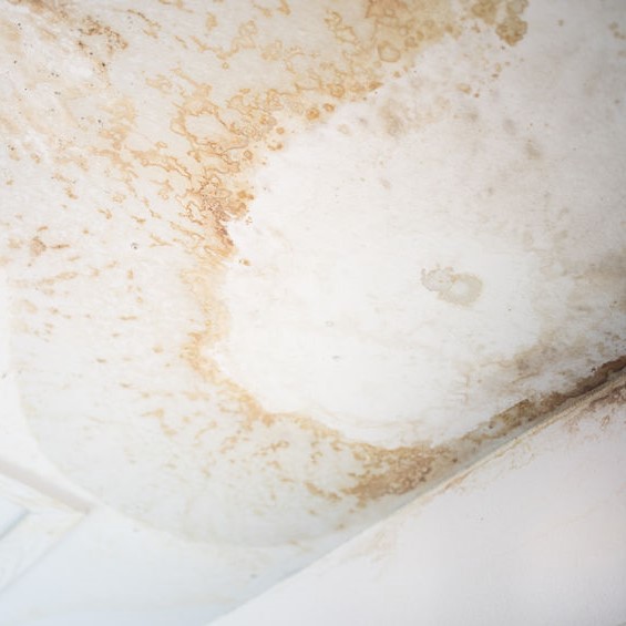 Water stains on ceiling
